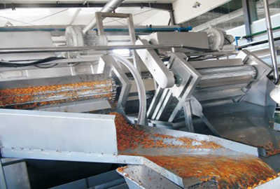 Dây chuyền chế biến hắc mai biển