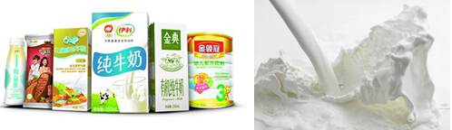 máy sản xuất đậu hũ công suất lớn