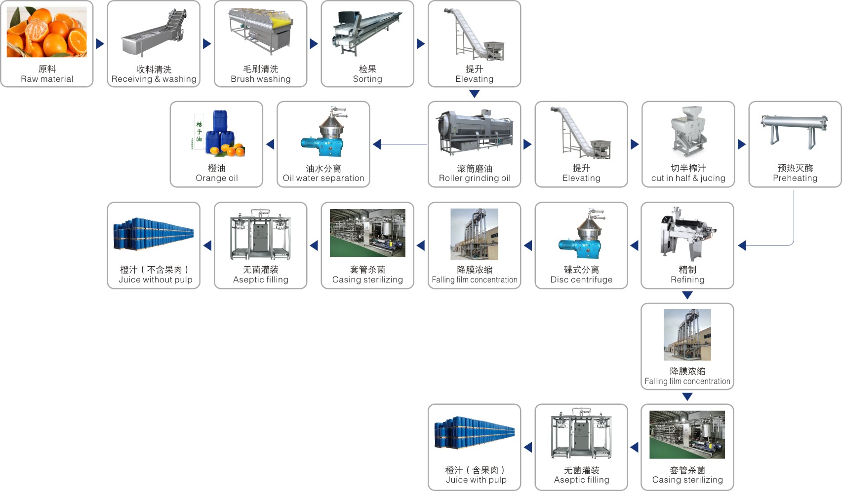 Dây chuyền chế biến trái cây họ cam quýt