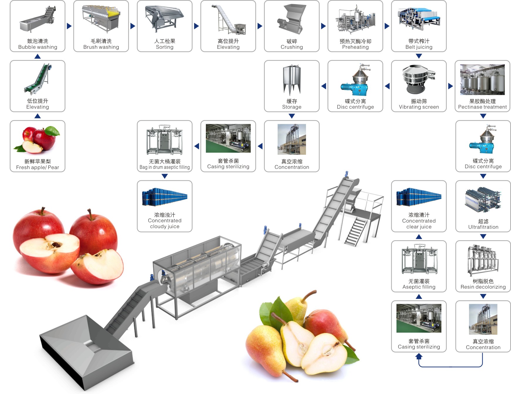 Dây chuyền chế biến táo, lê