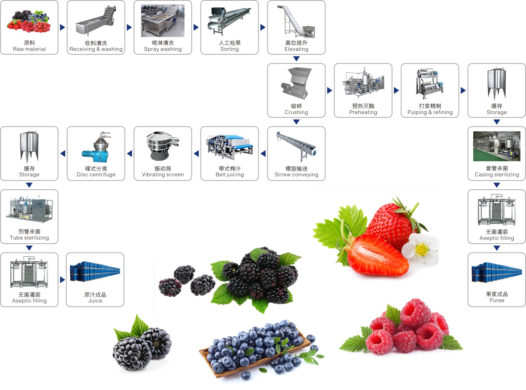 Dây chuyền sản xuất đồ uống từ việt quất, mâm xôi, dâu tây