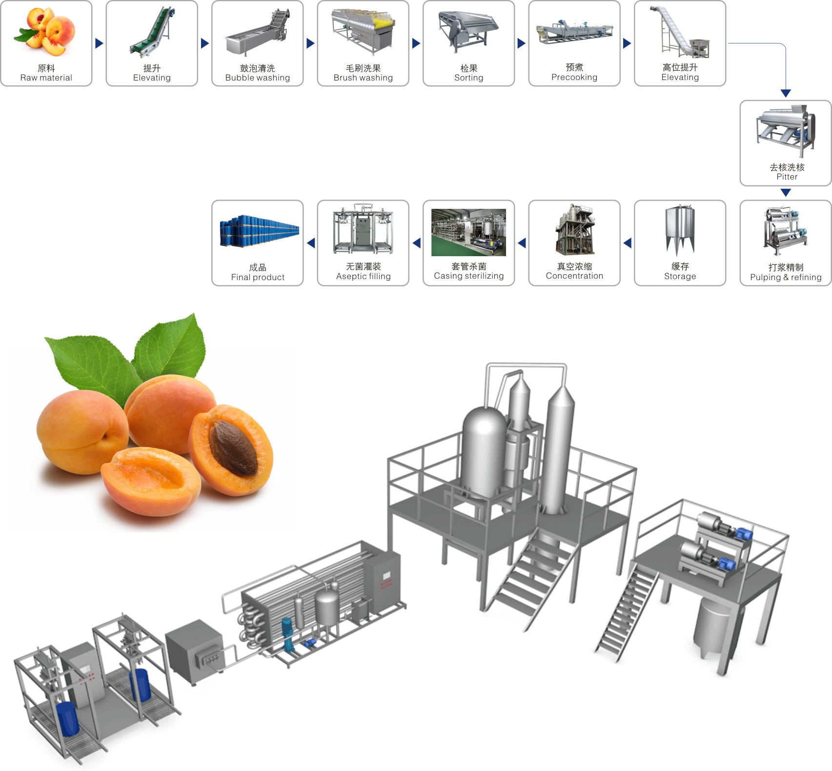 Dây chuyền sản xuất đồ uống từ mơ, mận, đào