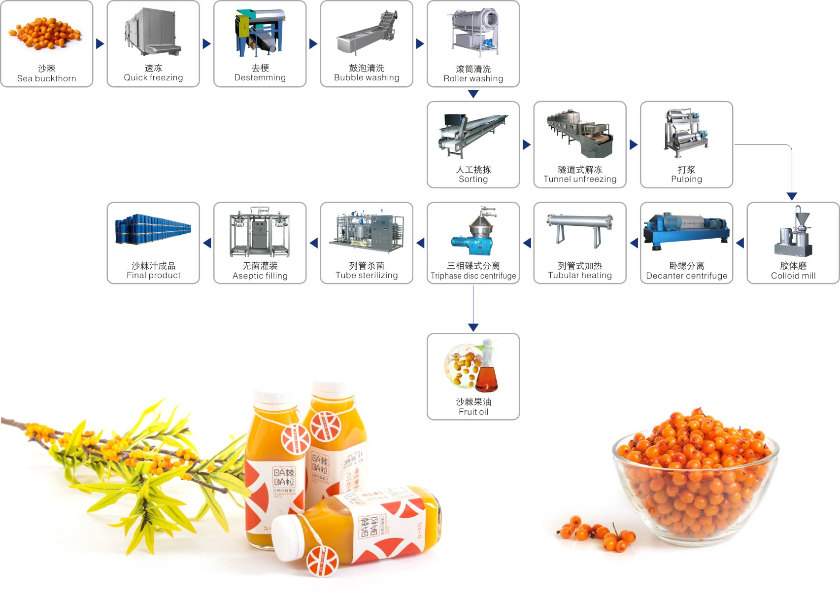 Dây chuyền chế biến hắc mai biển